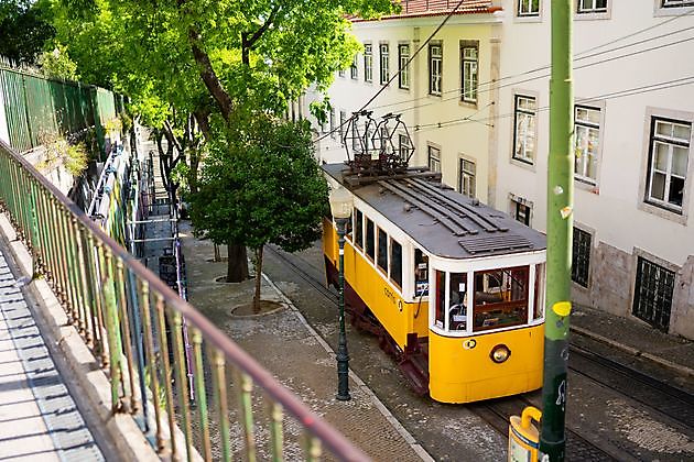 Pink Marketing op bedrijfsreis in Lissabon - Internoord Zakelijk Reizen